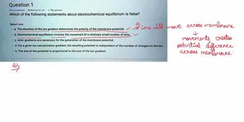 question-senr-out-0tl00-which-of-the-following-statements-about-electrochemical-equilibrium-is-false-select-one-the-directlon-of-the-ion-gradient-determines-the-polarity-of-the-membrane-pote-78453