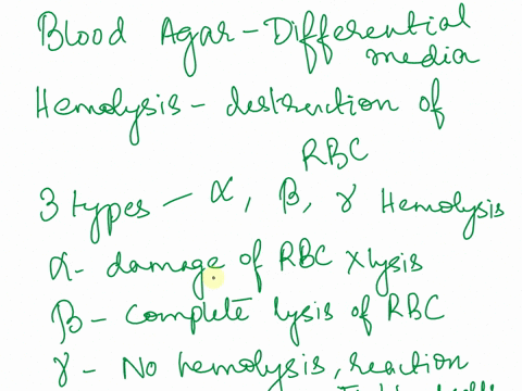 lab-15-gram-positive-cocci-pproduct-iase-calala-what-are-the-oxygen-requirements-of-gram-positive-cocci-such-as-staphylococci-and-streptococci-do-they-possess-catalase-what-is-the-function-o-79362
