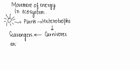 1-the-movements-of-energy-and-nutrients-through-living-systems-are-different-because-1-point-energy-flows-in-one-direction-and-nutrients-recycle-energy-is-limited-in-the-biosphere-and-nutrie-37582