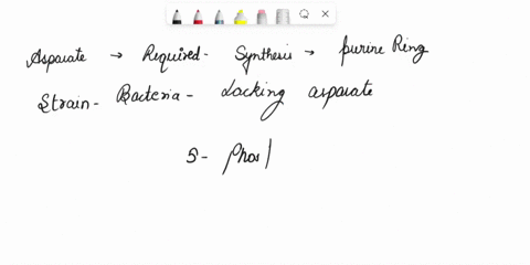 what-intermediate-in-purine-synthesis-will-accumulate-if-a-strain-of-bacteria-is-lacking-each-of-the-38718