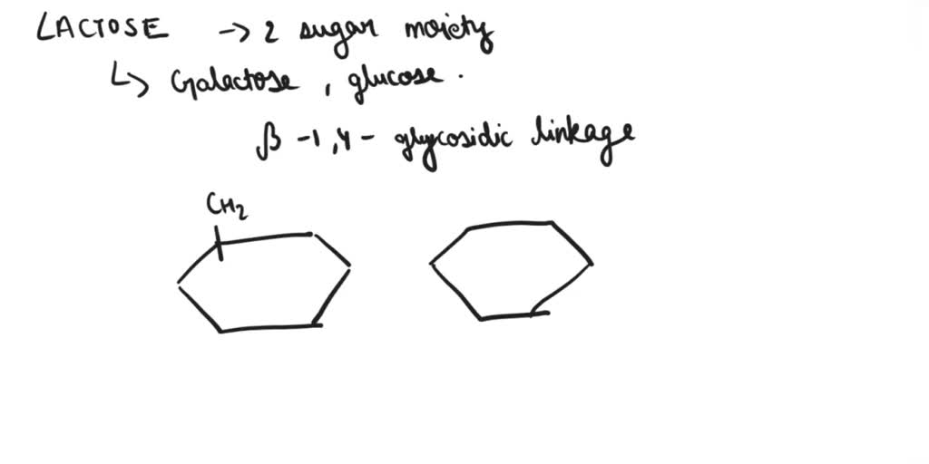 solved-lactose-is-a-disaccharide-sugar-molecule-which-is-the-primary