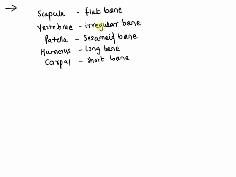 classification-of-bones-classify-each-of-the-following-bones-based-on-their-shape-bone-classification-scapula-click-to-select-vertebra-click-to-select-patella-click-to-select-humerus-click-t-10698