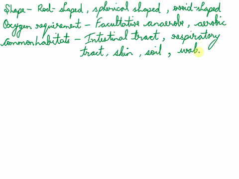 bacteria-identification-assignment-making-a-key-make-a-key-that-you-can-use-to-identify-a-short-list-of-bacteria-just-like-what-lab-techs-do-in-a-clinical-setting-alcaligenes-faecalis-bacill-17327