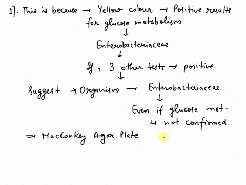 2-in-clinical-applications-of-this-test-system-reagents-are-added-only-if-the-glucose-oxidatvonffermentation-test-result-is-yellow-or-at-least-three-other-tests-are-positie-if-these-conditio-39289