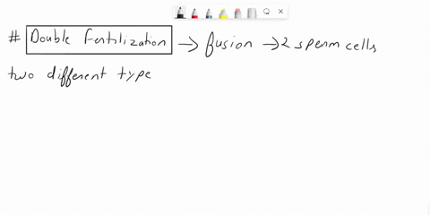 what-is-double-fertilization-expline-the-process-of-fertilization-in-angiosperm-00107