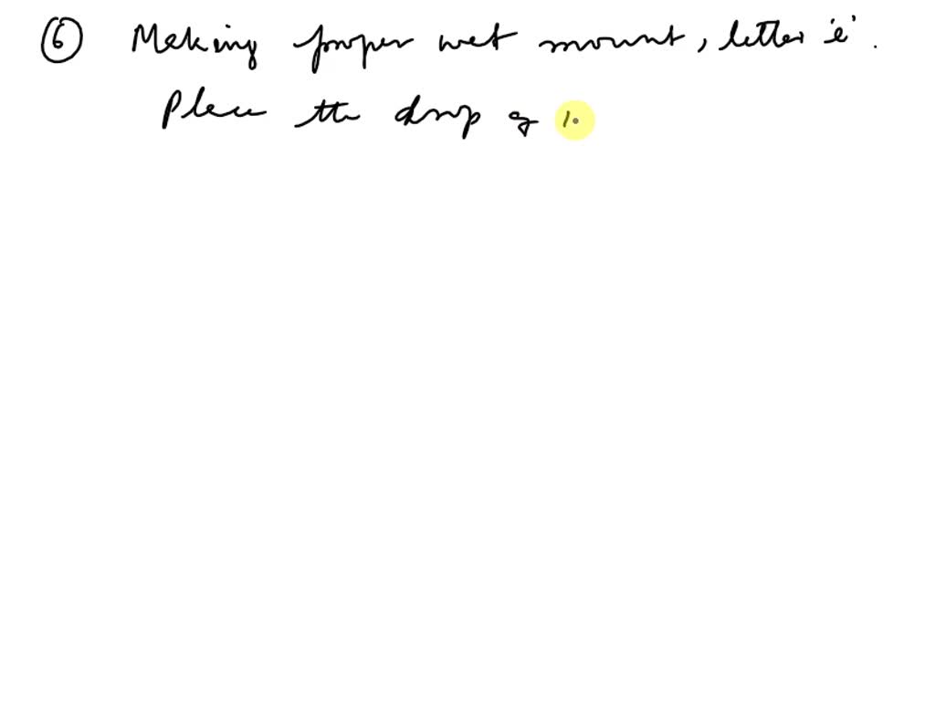 SOLVED Conclusion Questions 1. State two procedures that should be