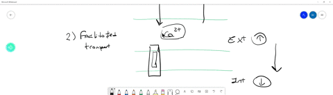 identify-the-type-of-transport-that-would-move-the-following-type-of-molecule-h2o-a-facilitated-diffusion-b-osmosis-c-phagocytosis-d-active-transport-epinocytosis-f-simple-diffusion