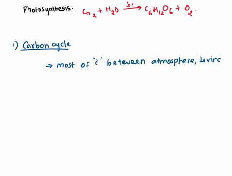 which-chemical-cycle-involves-the-process-of-photosynthesis-a-carbon-cycle-b-nitrogen-cycle-c-water-cycle-83045