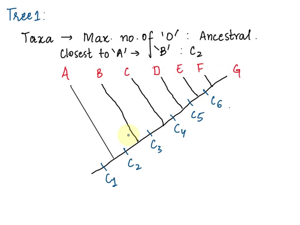 Build a Phylogeny tree based on the data matrix table below: Build a