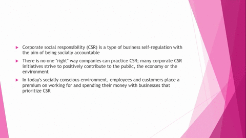 a-i-briefly-explain-the-differences-between-business-ethics-and-corporate-social-responsibility-csr-5-marks-ii-discuss-the-csr-issues-relating-to-boom-ptys-business-and-how-the-company-might-improve-i