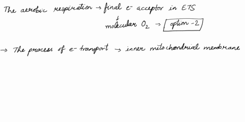 in-aerobic-respiration-the-final-electron-acceptor-in-the-electron-transport-chain-isnad-o2-h2o-nadp-h2-06767