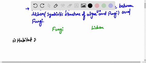 if-you-were-given-a-sample-to-identify-what-characteristics-would-you-use-t0-determine-if-it-was-a-lichen-or-a-pure-fungus1-80696