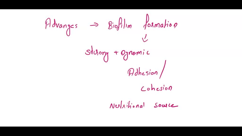 SOLVED Legionella pneumophila is a Gramnegative bacterium that can