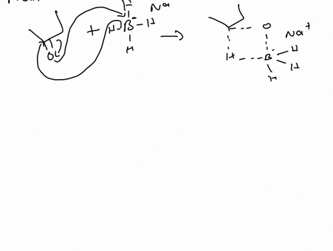 3-draw-the-mechanism-for-the-reduction-of-camphor-with-sodium-borohydride-in-methanol-you-can-upload-a-hand-drawn-picture_-what-is-the-balanced-chemical-equation-how-many-hydrogens-are-in-yo-91819
