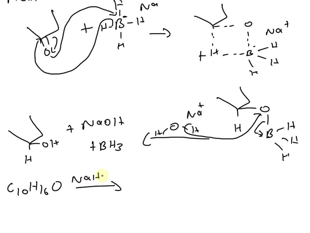 SOLVED: 3. Draw the mechanism for the reduction of camphor with sodium ...