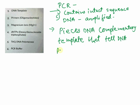 match-the-components-of-pcr-to-their-purpose-provides-the-optimum-ionic-environment-and-ph-for-optimal-enzyme-activity-pieces-of-dna-complementary-to-the-template-that-tell-dna-polymerase-ex-36053