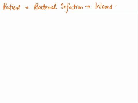 q1-to-test-whether-a-patient-has-a-bacterial-infection-the-physician-may-order-a-wound-culture-to-be-done-after-doing-this-the-laboratory-stuff-may-do-gram-stain-if-the-lab-technicians-sees-35925