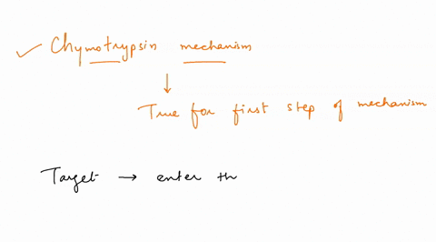 based-on-the-chymotrypsin-mechanism-discussed-in-class-which-of-the-following-is-true-for-the-first-step-of-the-mechanism-a-the-carbon-of-the-carbonyl-group-of-the-substrate-changes-its-hybr-45956