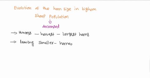 focus-on-the-evolution-of-the-horn-size-in-the-bighorn-sheep-population-from-1950-to-present-explain-how-selection-was-factor-in-the-evolution-of-horn-size-since-950-the-hunters-chose-to-har-01245