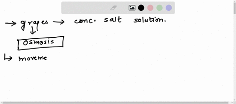 what-will-happen-when-you-put-grapes-in-concentrated-salt-solution-00962