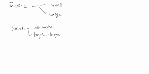 describe-the-folding-of-the-small-intestines-and-explain-why-folding-is-important-78242