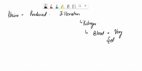 8-10-points-which-of-the-following-substances-would-you-not-expect-to-find-in-significant-amounts-in-normal-urine-proteins-sodium-ions-hydrogenions-urea-19356