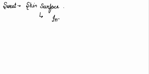 what-effect-does-an-increase-in-sweat-production-have-on-skin-conductance-it-decreases-skin-conductance-0-it-increases-skin-conductance-26421
