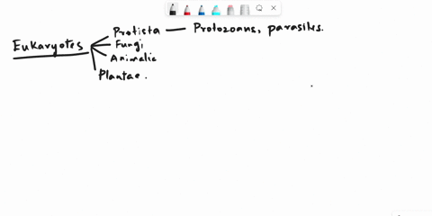 most-eukaryal-pathogens-are-primary-pathogens-of-humans-t-or-f-84984