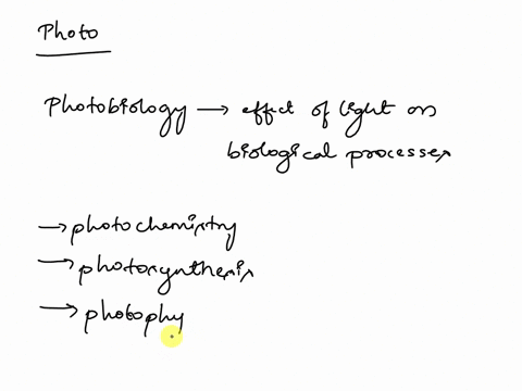 questions1-think-of-two-more-words-that-begin-with-photo-what-does-each-of-your-words-mean-70295