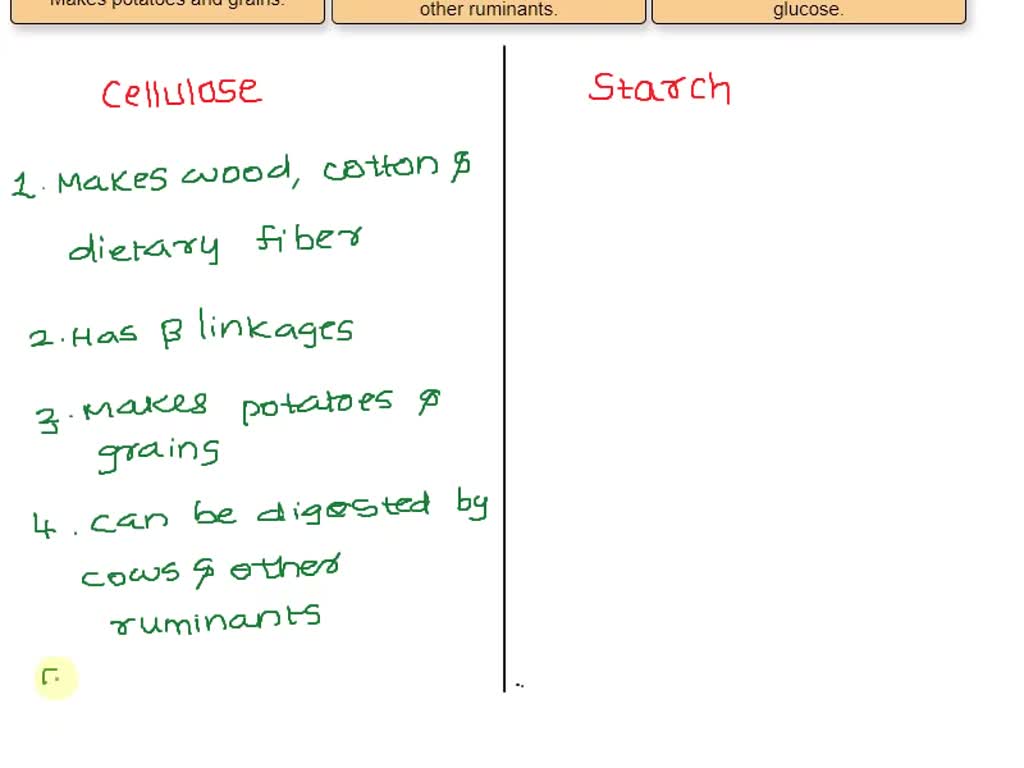 SOLVED As you can see, starch and cellulose are structurally very