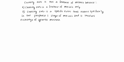 question-13-05pts-crossingover-is-not-a-feature-of-mitosiswhy-not-check-all-that-apply-becu-crossing-over-is-featu-of-meiosis-ony-because-homologous-chromosomes-do-not-attach-to-each-during-30602