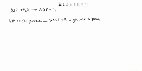 the-direct-measurement-of-the-standard-free-energy-change-ago-that-accompanies-the-hydrolysis-of-atp-to-adp-is-almost-impossible-to-accurately-measure-since-the-equilibrium-concentration-of-62141