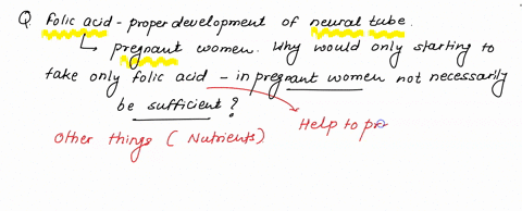 folic-acid-is-crucial-to-the-proper-development-of-the-neural-tube-in-order-to-prevent-the-development-of-neural-tube-defects-individuals-are-recommended-to-take-folic-acid-regularly-so-that-17608