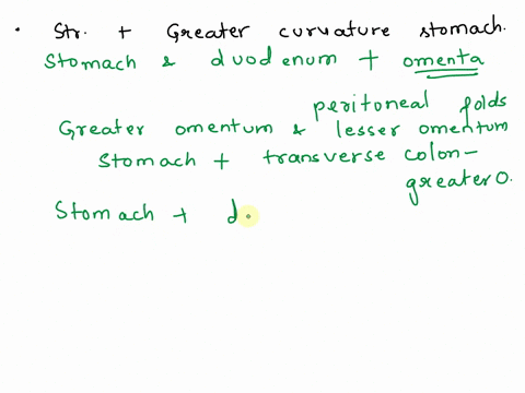 1-what-major-structure-attaches-to-the-greater-curvature-of-the-stomach-what-is-the-similar-structure-that-attached-to-the-lesser-curvature-of-the-stomach-2-what-are-the-three-orientations-o-51278