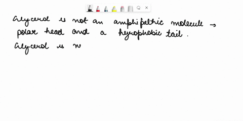 which-of-the-following-is-not-a-class-of-lipids-steroids-sterols-eicosanoids-glycerol-85964
