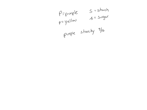 in-corn-purple-kernelsp-are-dominant-to-yellow-kernels-pand-starchy-kernels-su-are-dominant-to-sugary-kernalssua-corn-plant-grown-from-a-purple-and-starchy-kernel-is-crossed-with-a-plant-gro-28795