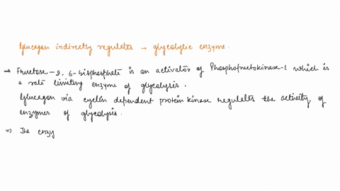 glucagon-indirectly-regulates-the-activity-of-which-glycolytic-enzyme-pyruvatc-kinasc-hexokinasc-phosphoglucomutasc-blyccraldchyde-3-phosphatc-dchydrogcnase-phosphofructokinasc-triosc-phosph-78887