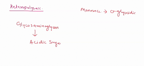 which-compound-is-2-heteropolysaccharide-select-one-hyaluronate-cellulose-glycogen-chitin-starch-50494