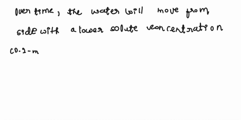 a-selectively-permeable-membrane-separates-two-solutions-water-is-able-to-pass-through-this-membrane-however-sucrose-a-disaccharide-and-glucose-a-monosaccharide-cannot-pass-the-membrane-sepa-76076