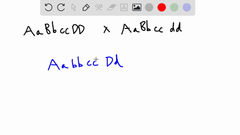 directions-for-the-following-problem-calculate-the-probability-of-the-offspring-between-the-cross-using-the-sum-and-product-rule-the-parent-generation-has-genotypes-of-aa-bb-cc-dd-and-aa-bb-26129