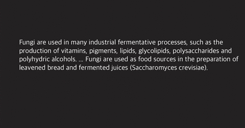 discuss-the-role-of-fungi-in-industrial-fermentative-processes-providing-appropriate-examples-where-necessary