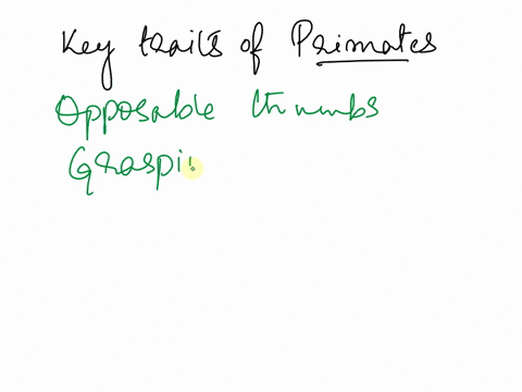 list-and-explain-the-key-traits-that-are-characteristic-of-the-order-primates-08673