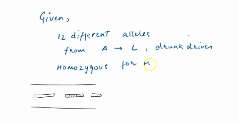 a-population-of-ants-on-a-median-strip-has-12-different-alleles-a-through-l-of-a-particular-gene-a-drunk-driver-plows-across-the-median-strip-destroying-most-of-the-median-strip-and-90-of-th-50937