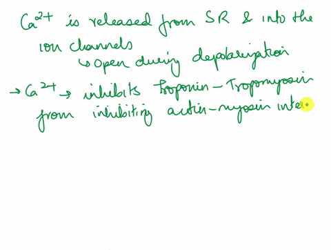 the-sliding-filament-theory-of-muscle-contraction-describes-the-biochemical-interactions-of-actin-and-myosin-that-result-in-shortening-of-the-sarcomere-outline-this-interaction-of-action-and-95016