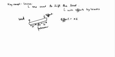 which-of-the-following-describes-a-second-class-lever-1-the-fulcrum-is-located-between-the-effort-force-and-the-load-2-the-effort-force-is-located-between-the-fulcrum-and-the-load-force-3-th-14499