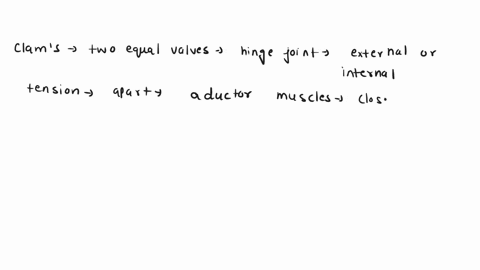 list-several-features-of-a-clam-anatomy-that-enable-it-to-survive-in-a-marine-environment-50898