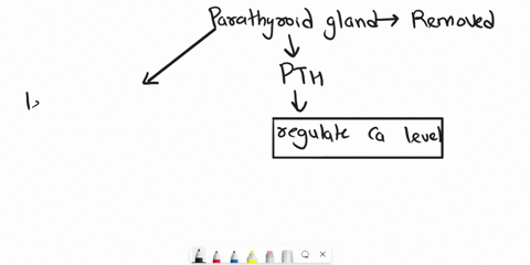 removal-of-the-parathyroid-glands-would-result-in-decreased-blood-concentrations-of-what-important-mineral-55197