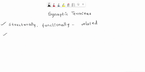 1compare-the-location-of-the-synaptic-termini-of-the-hypothalamic-neurons-of-the-anterior-pituitary-to-those-of-the-posterior-pituitary-2explain-the-processes-by-which-the-anterior-and-poste-19242