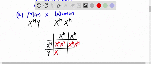 directions-figure-out-the-following-sex-linked-punnett-squares-to-receive-full-credit-your-punnett-square-and-answer-must-be-correct-points-cach-14-points-total-mou-can-draw-on-the-test-for-63688