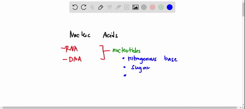 whats-the-answer-pls-question-1-1-point-rna-structure-is-different-from-dna-structure-because-only-rna-has-which-of-the-following-thymine-bases-phosphate-groups-ribose-sugars-adenlne-bases-q-38127